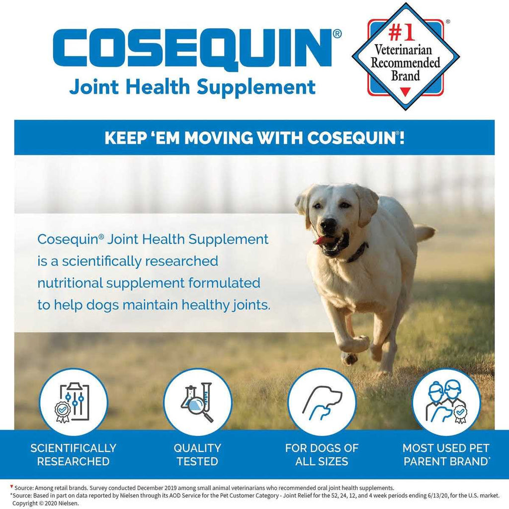 Soft Chews with MSM Plus Omega-3s for Dogs H195
