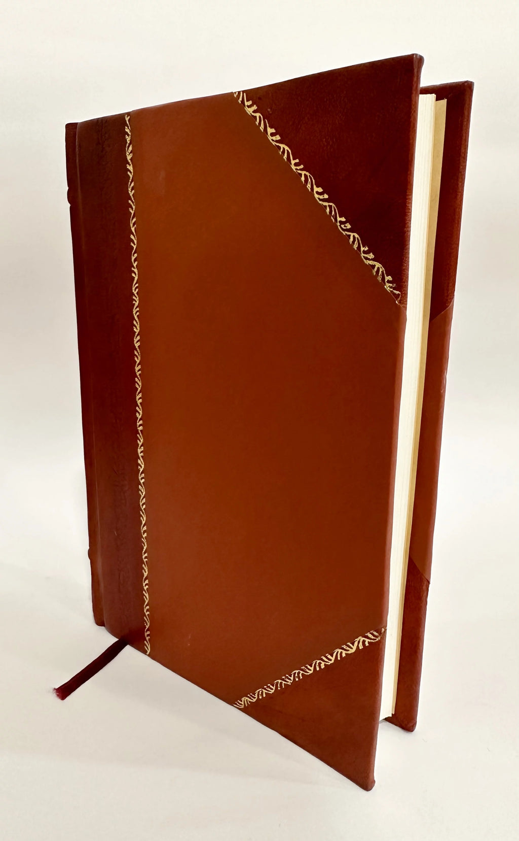 Leather Bound Book N549