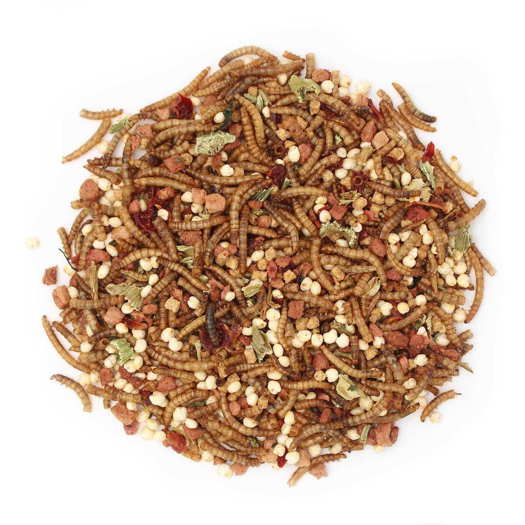 Hedgehog Treat Q829969