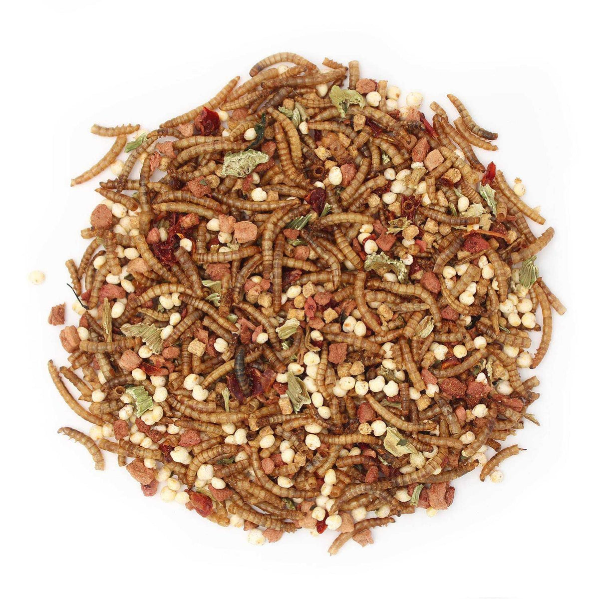 Hedgehog Treat Q829969