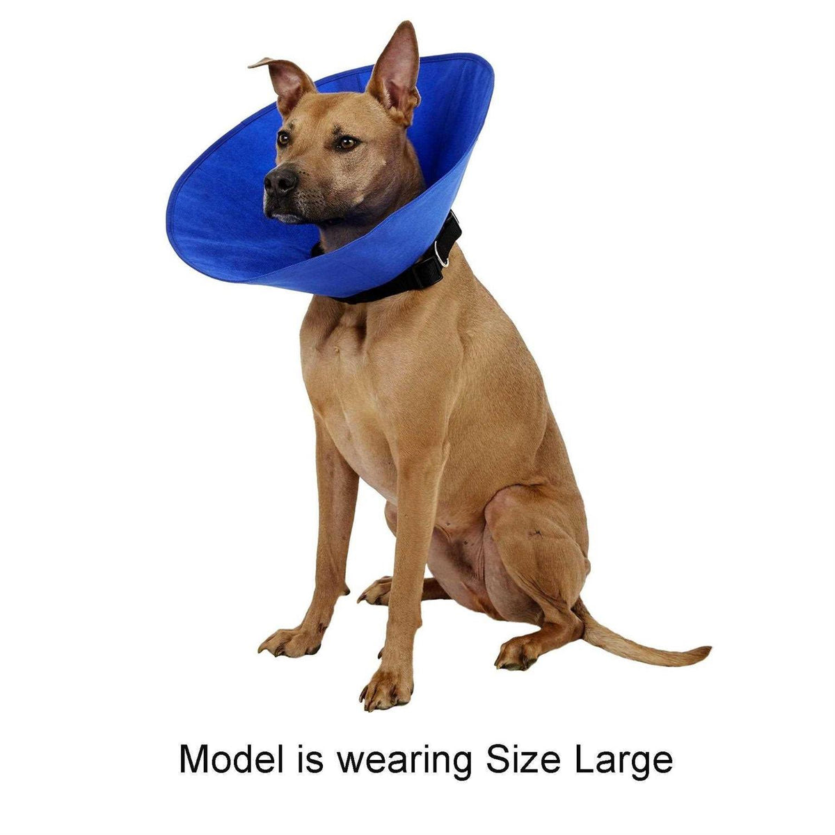 Pet Recovery Collar U76655