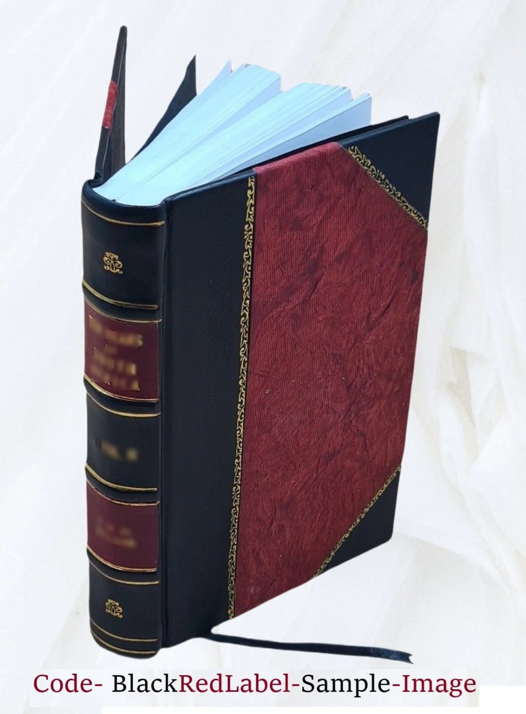 Leather Bound Z159