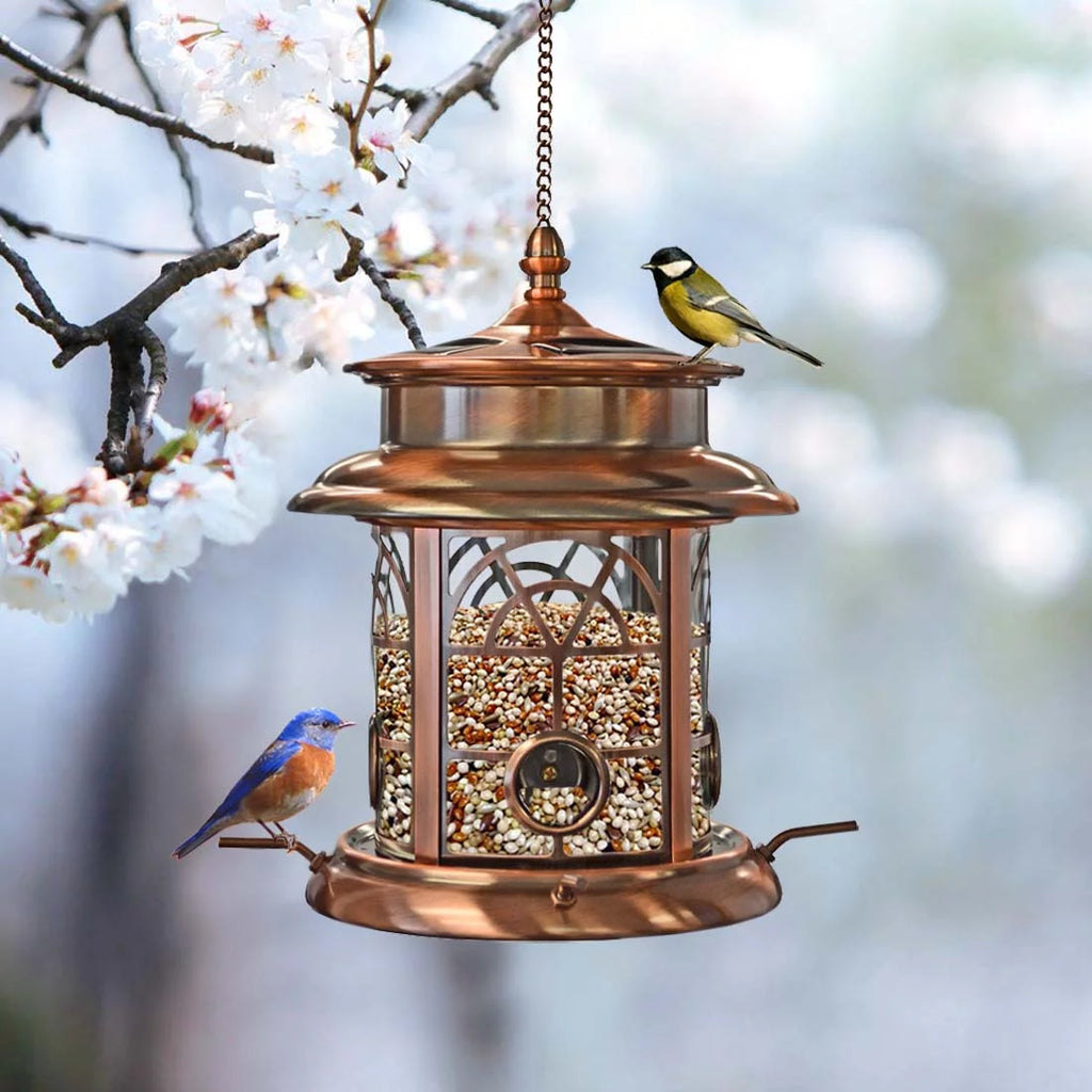 Solar Birdfeeder E67929